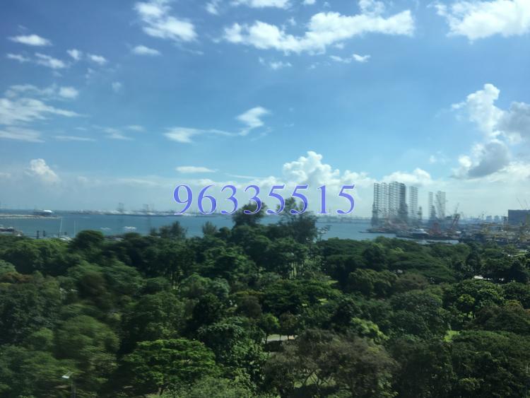 Blue Horizon thumbnail photo